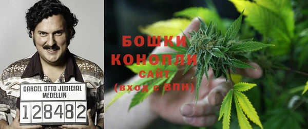 экстази Вяземский