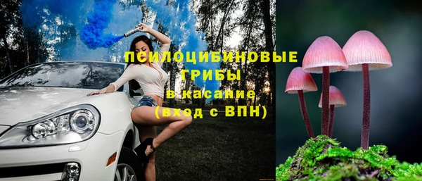 прущая мука Вязьма