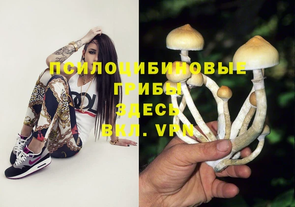 прущая мука Вязьма