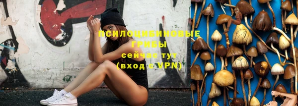 экстази Вяземский