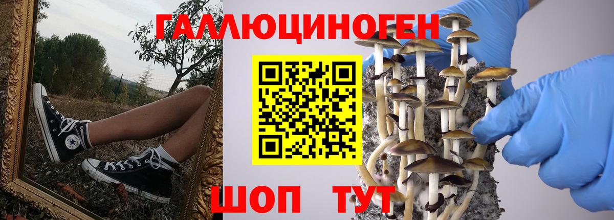 что такое   Вход с VPN  Псилоцибиновые грибы Psilocybe  Вязьма  Псилоцибиновые грибы мухоморы 