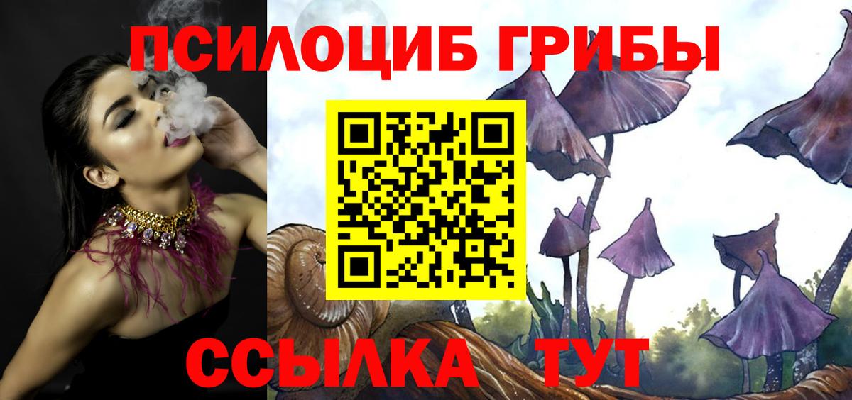 Каннабис  ГАШ  Вязьма  Кокаин  Меф кристаллы  A-PVP СК кристаллы  Конопля  Вход с VPN  НБОМе 